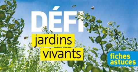 Actualité "Défi Jardins Vivants" fiches astuces